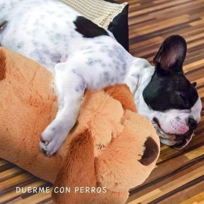 Peluche Calmante con Latido